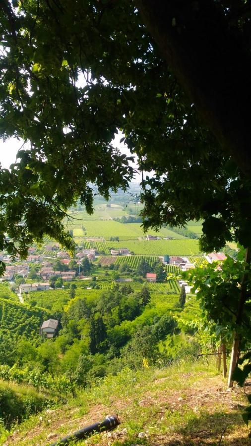 Seven Suites Pieve Pieve di Soligo Extérieur photo
