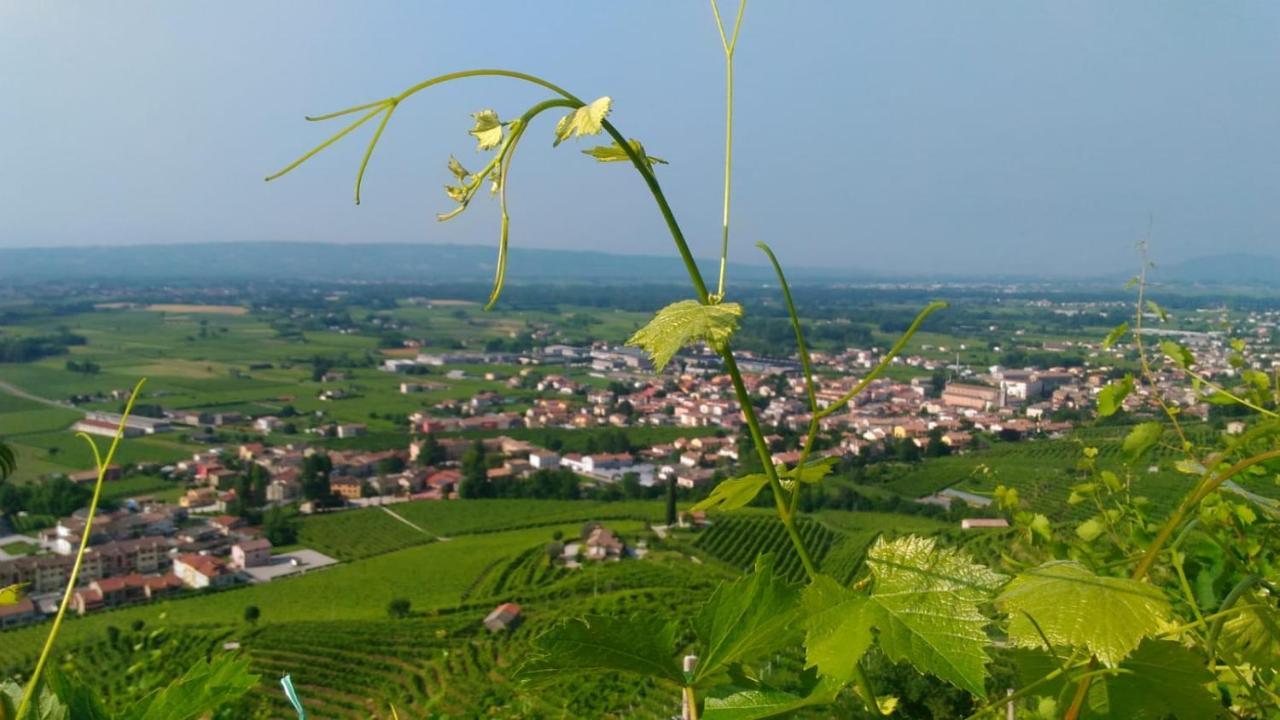 Seven Suites Pieve Pieve di Soligo Extérieur photo